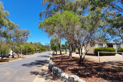 Capital Country Holiday Park - Inverell Accommodation 3