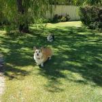 Abbey Beach Shack - Inverell Accommodation 0