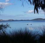 Lilacs Waterfront Villas  Cottages - Inverell Accommodation