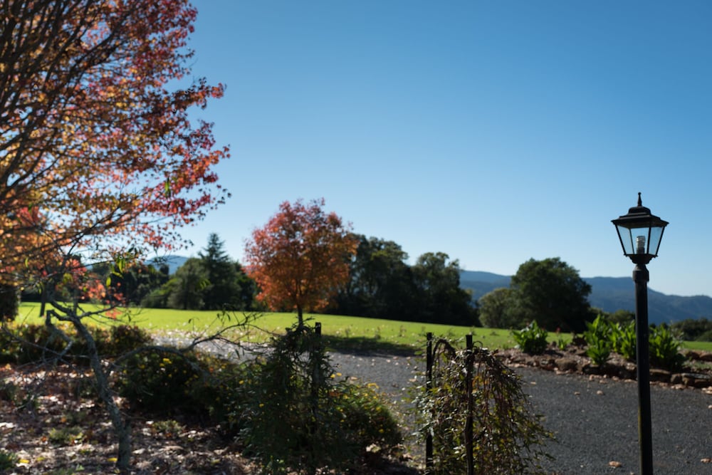 Billys Creek NSW Inverell Accommodation