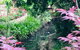 Aldgate Creek Cottage Bed & Breakfast - thumb 7