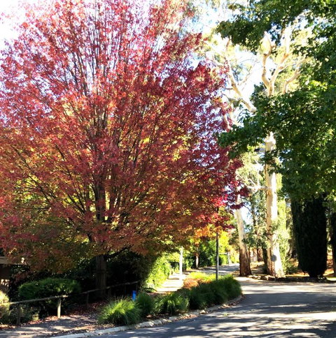 Aldgate Creek Cottage Bed & Breakfast - Inverell Accommodation 2