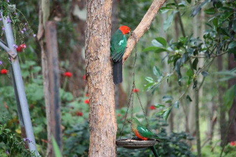 Twilight Grove Farm - Inverell Accommodation 3