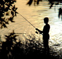 Wooli River Lodges - Inverell Accommodation