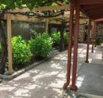 bluebird cottage - Inverell Accommodation