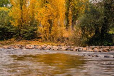 Alpine Aspects - Inverell Accommodation 5