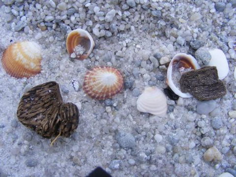 Scamander Dunes - Inverell Accommodation 2