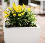 Esperance Coastal Retreat - Inverell Accommodation