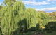 Stoney Creek Retreat - thumb 6