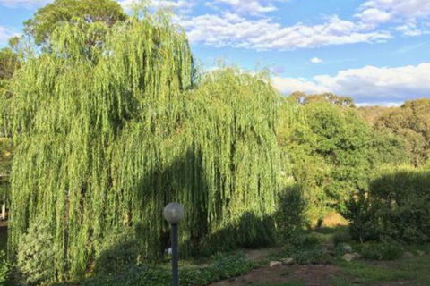 Stoney Creek Retreat - Inverell Accommodation 6