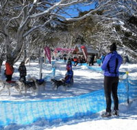 Cloud 9 Alpine Lodge - Inverell Accommodation