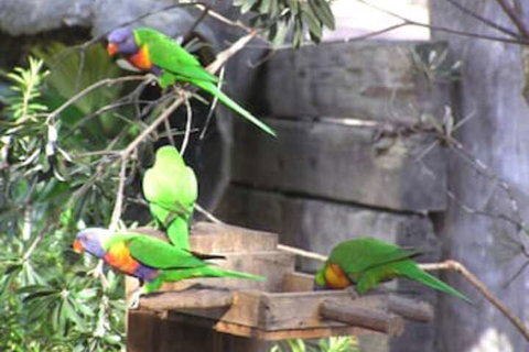 Kianinny Bush Cottages - Inverell Accommodation 1