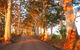 Innisfree Mountain Retreat - thumb 0