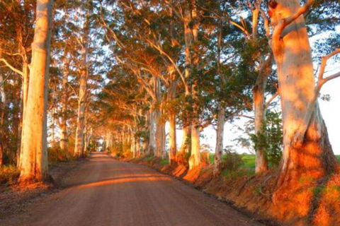 Innisfree Mountain Retreat - Inverell Accommodation 0