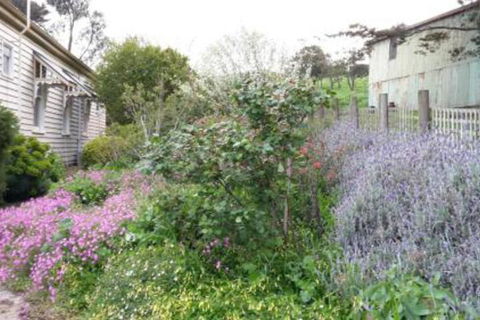 Alvie Cottage - Inverell Accommodation 1