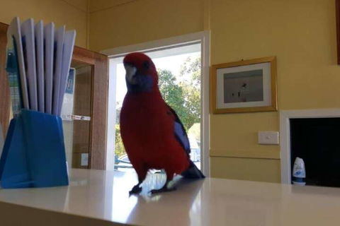 Lake Conjola Waterfront Holiday Park - Inverell Accommodation 5