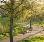 A Suite Spot in the Hills - Inverell Accommodation
