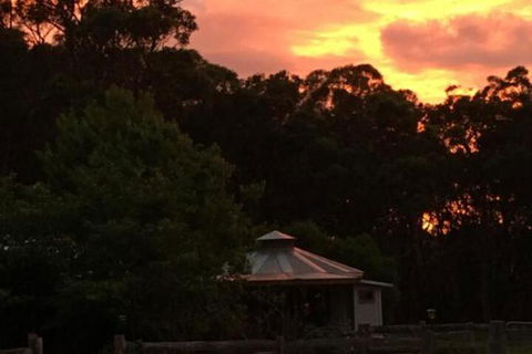 Ionaforest Yurt & Shepherds Hut - Inverell Accommodation 4
