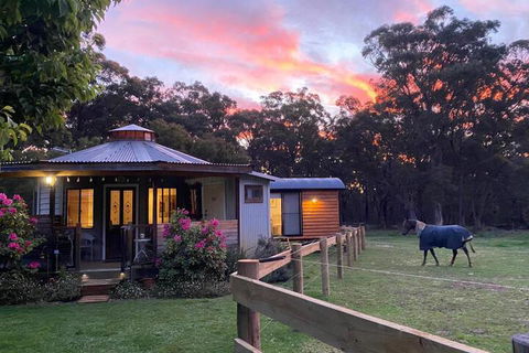 Ionaforest Yurt & Shepherds Hut - Inverell Accommodation 3