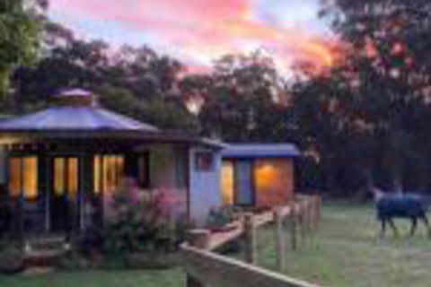 Ionaforest Yurt & Shepherds Hut - Inverell Accommodation 0