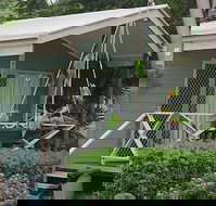 BIG4 Aussie Outback Oasis Holiday Park - Inverell Accommodation