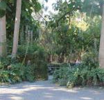 Avoca Park - Inverell Accommodation