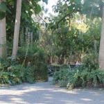 Avoca Park - Inverell Accommodation 0