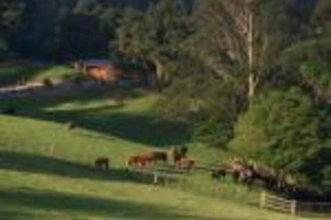Amaroo Valley Springs - Inverell Accommodation 0