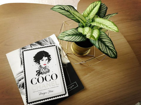 ILK Apartments South Yarra - Inverell Accommodation 2