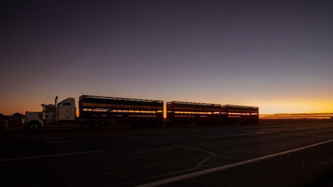 Longreach Outback Adventures - Inverell Accommodation 2