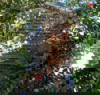 Rain Forest Gem - Inverell Accommodation