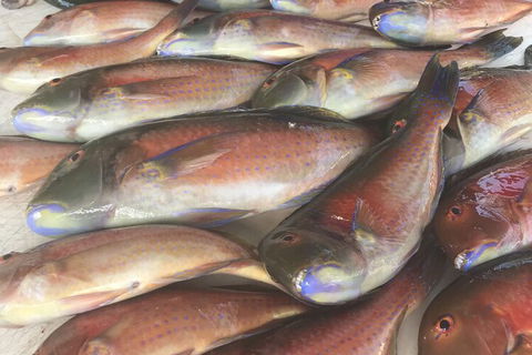 DRIFTWOOD - Inverell Accommodation 5