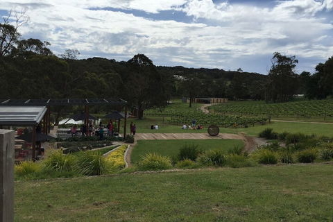 Aquawaters House By Barefoot Beach Stays - Inverell Accommodation 5