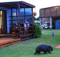 BIG4 Kelso Sands Holiday Park - Inverell Accommodation
