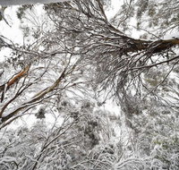 Powder 2a - Inverell Accommodation