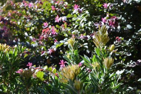 A Bach At Bright Bright VIC - Inverell Accommodation 4