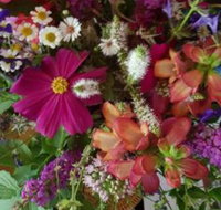 Ahvenbloem Park Winganna - Inverell Accommodation