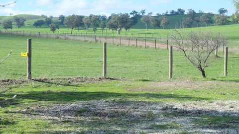 Yea Woodduck Cottage - Inverell Accommodation 0