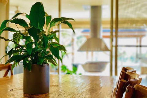 Grand Gippsland Home Sleeps Up To 28 - Inverell Accommodation 4