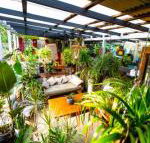 Jaspers Apartments - Inverell Accommodation