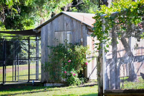 RayfieldsatBerry Kangaroo Valley - Inverell Accommodation 5