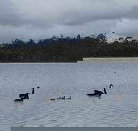 Lake Yalleena Nature Retreat - Inverell Accommodation