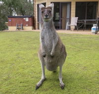Yelverton Brook Conservation Sanctuary - Inverell Accommodation