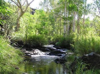Mt Hart Homestead - Inverell Accommodation 4
