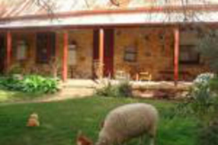 Mount Barker Springs SA Inverell Accommodation