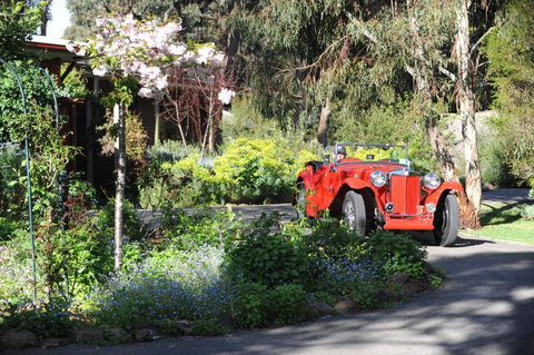 Wintarni Olives Cottage - Inverell Accommodation 1