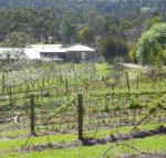Eureka Farm - Inverell Accommodation