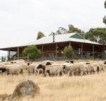 Gilgraves Vineyard Farmstay - Inverell Accommodation