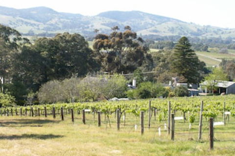 Archery Road Estate - Inverell Accommodation 0