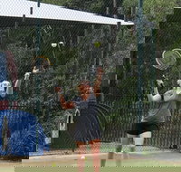 Blackwattle at Barrington Tops - Inverell Accommodation